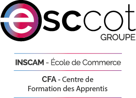 LOGO CFA AVIGNON VAUCLUSE